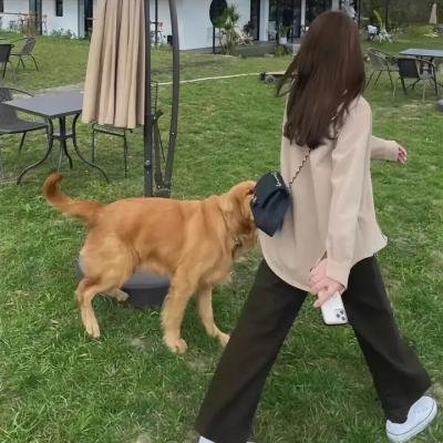 风流才子翻转天
