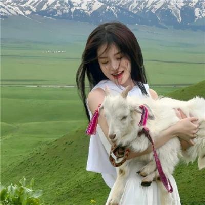 日本昆虫记